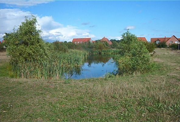 Ferienwohnungen Manfred Peters Baven Hermannsburg Extérieur photo