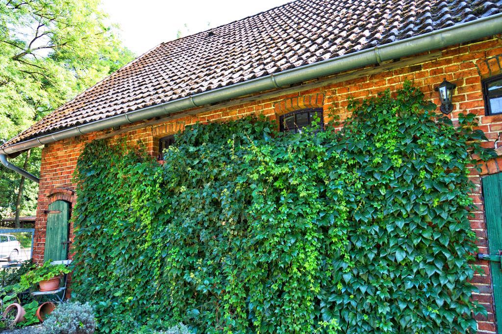 Ferienwohnungen Manfred Peters Baven Hermannsburg Extérieur photo